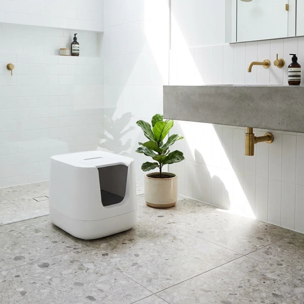 Clean and minimalist litter box environment